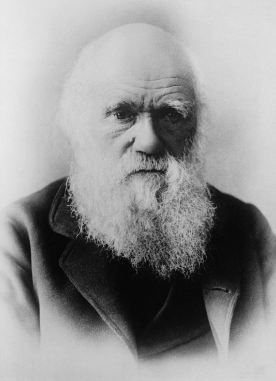 charles-darwin-1