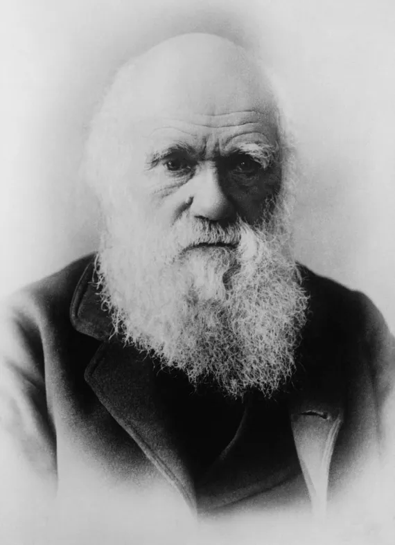 Portrait of Charles Darwin